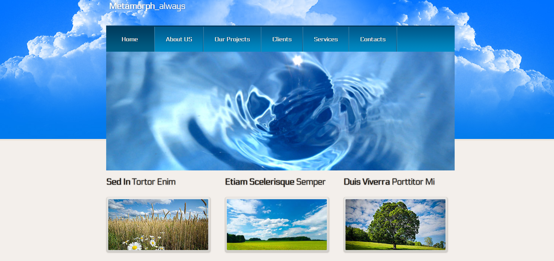 Шаблон сайта Дизайн №489